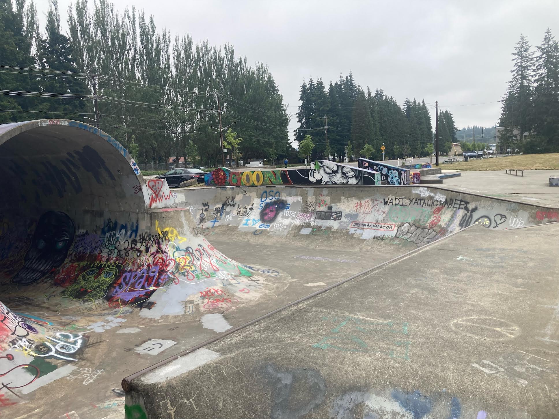 Arlington skatepark